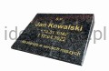 poduszka 35x27 impala grawer złoty.jpg