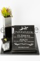 Z6B_8896.jpg